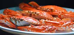 seafood_img