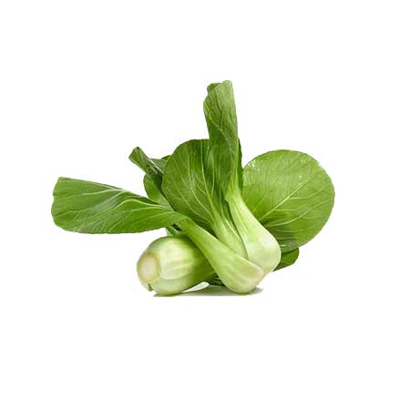 lettuce_img